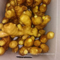 Chinese Fresh Ginger From Farm